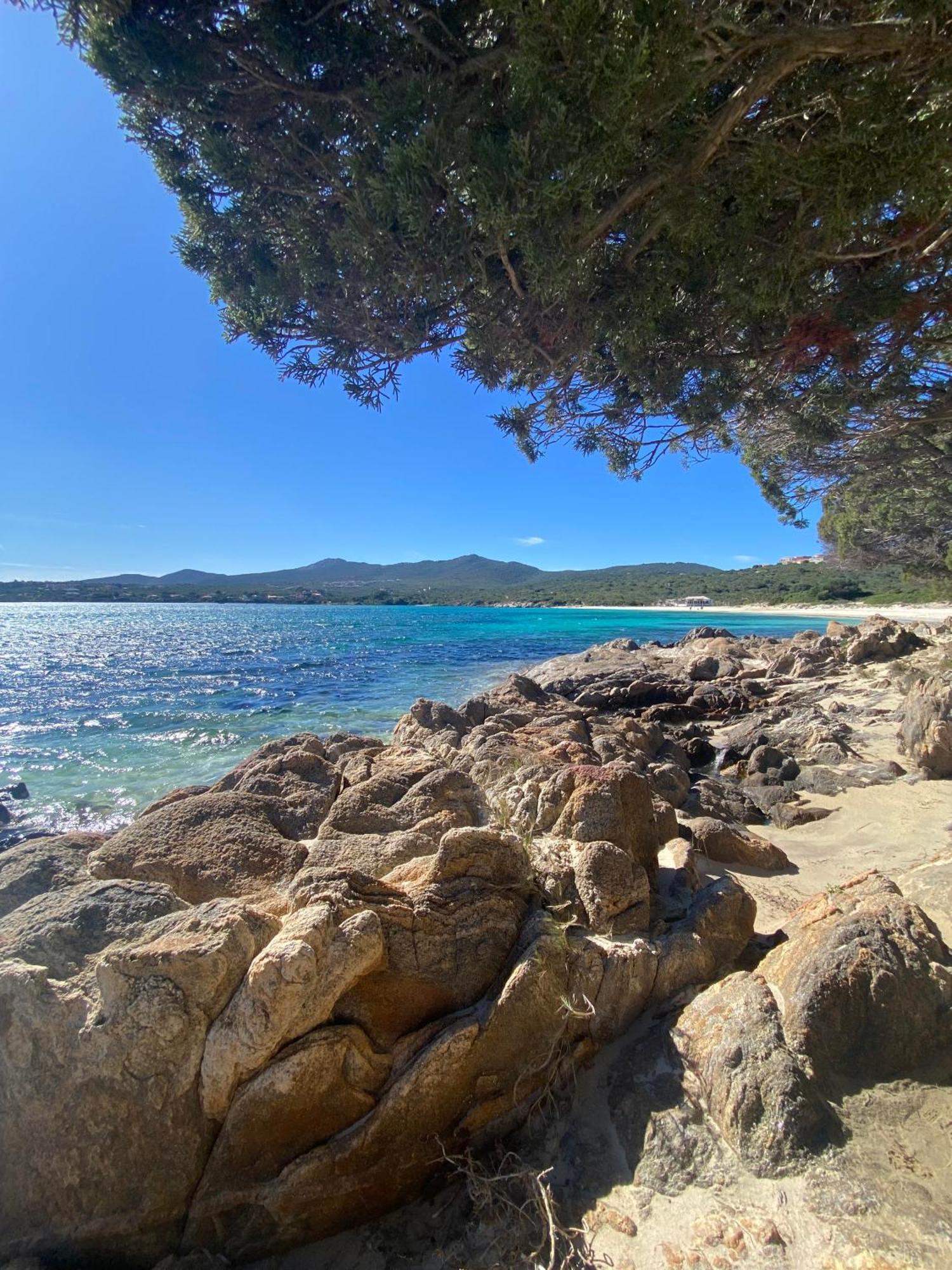 Int13 Via De Filippi Hotel Olbia Kültér fotó